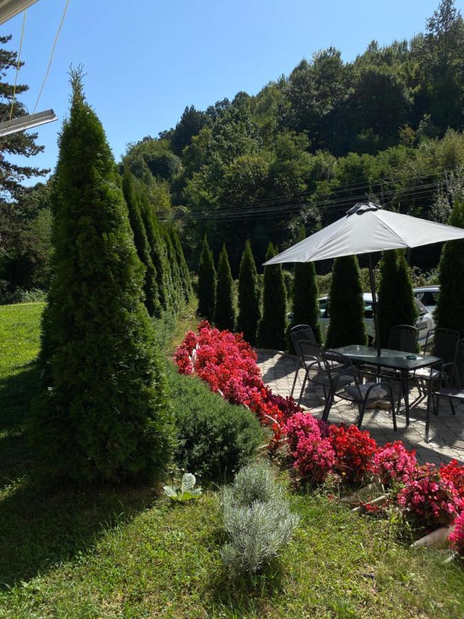 Zeleni Dvor Bed & Breakfast Ribarska Banja Exterior photo
